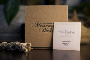 The Divine Dove with Cassandra